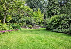 Optimiser l'expérience du jardin à Neuwiller-les-Saverne